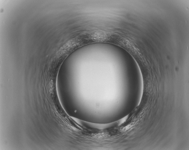 X0000060770689200511141258