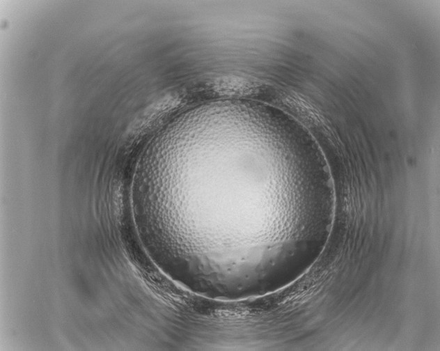 X0000060770690200511141258