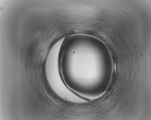 X0000060770691200511141258