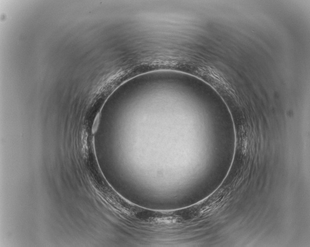 X0000060770692200511141258