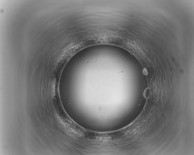 X0000060770694200511141258