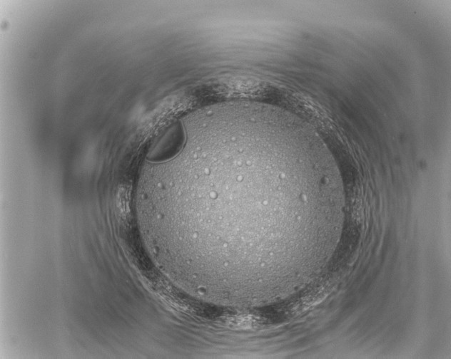 X0000060770695200511141257