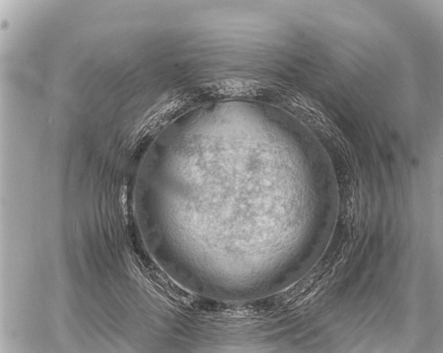 X0000060770696200511141257