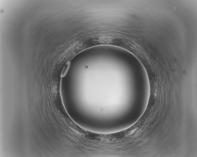 X0000060770697200511141257