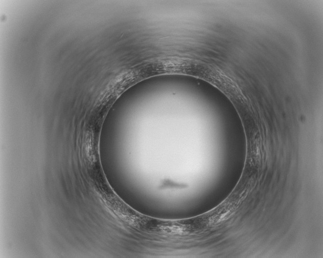 X0000060770698200511141257