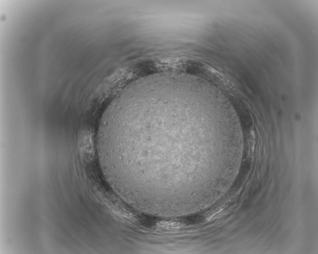 X0000060770699200511141257