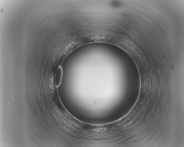 X0000060770700200511141257