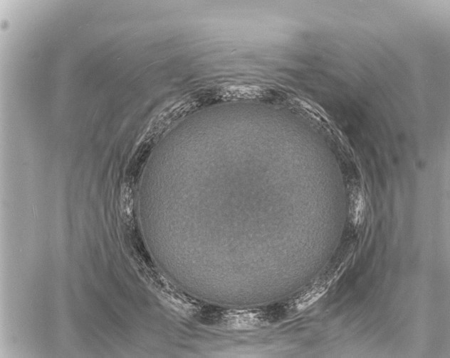 X0000060770701200511141257