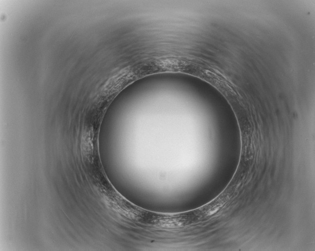 X0000060770702200511141257