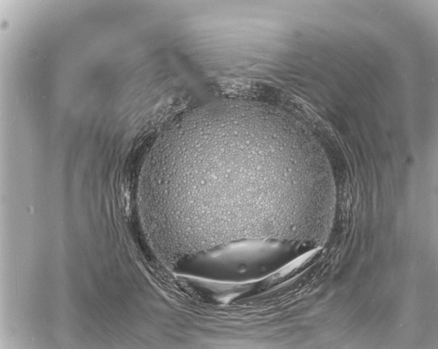 X0000060770703200511141257