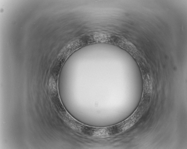 X0000060770705200511141257