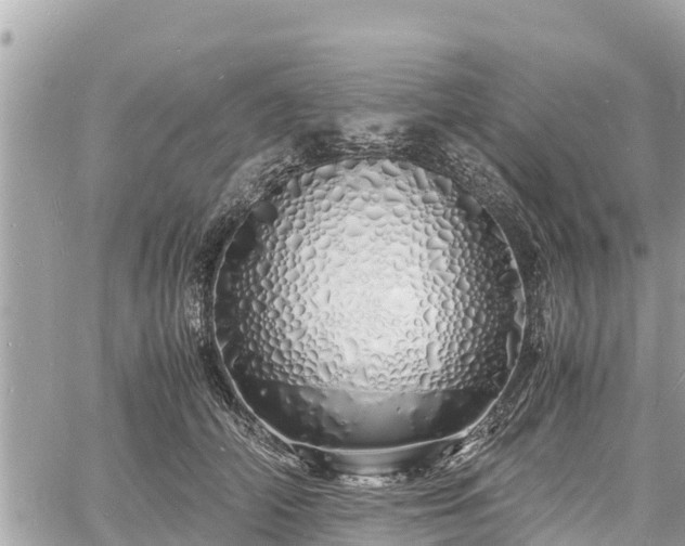 X0000060770706200511141257