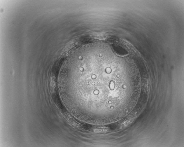 X0000060770707200511141257