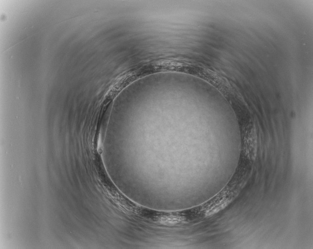 X0000060770708200511141257