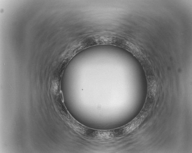 X0000060770709200511141257