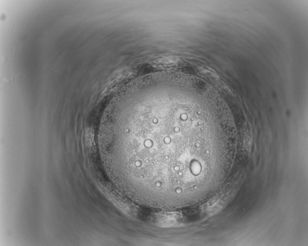 X0000060770711200511141257