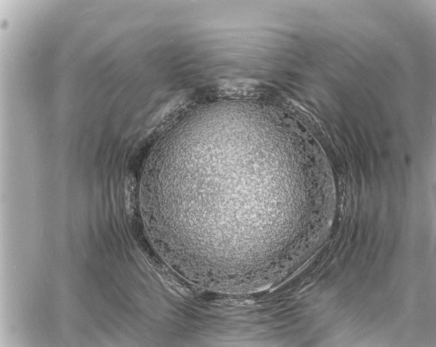 X0000060770712200511141257