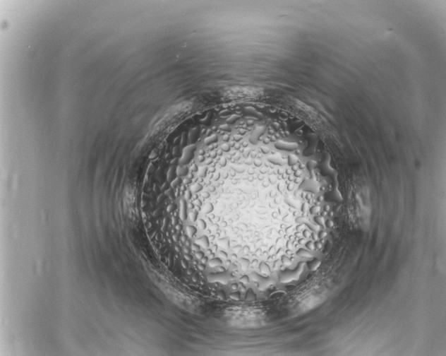 X0000060770714200511141257