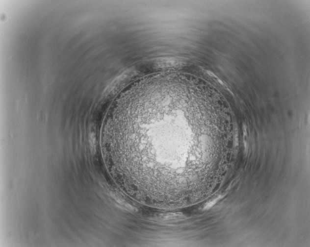 X0000060770716200511141257