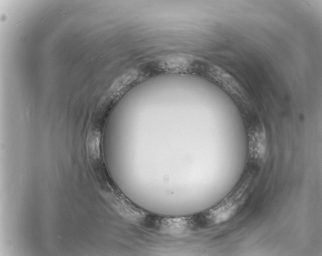 X0000060770717200511141257