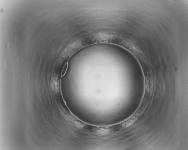 X0000060770718200511141257