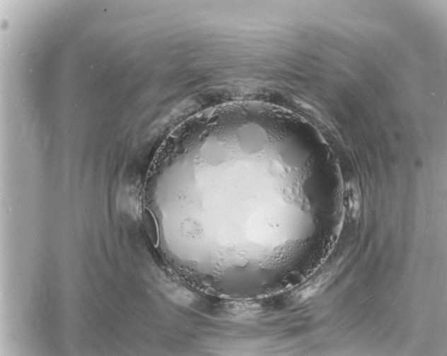 X0000060770719200511141257