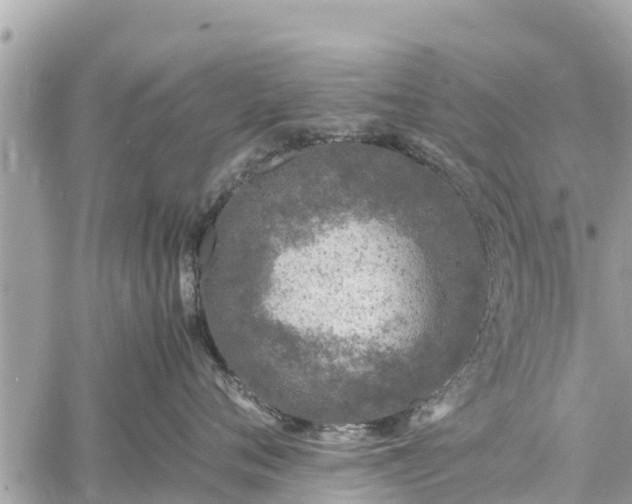 X0000060770720200511141257