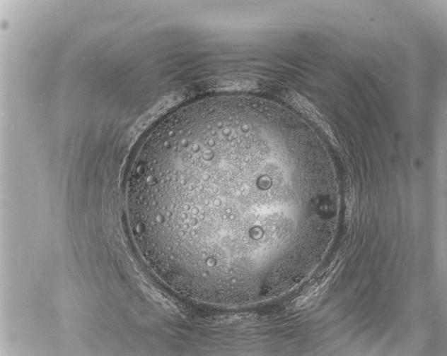 X0000060770721200511141256