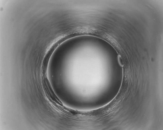 X0000060770722200511141256