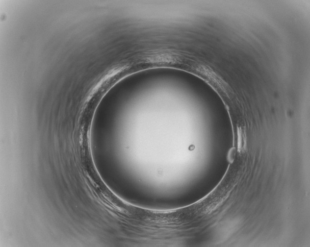 X0000060770723200511141256