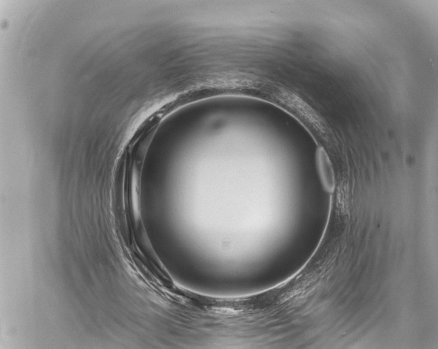 X0000060770724200511141256