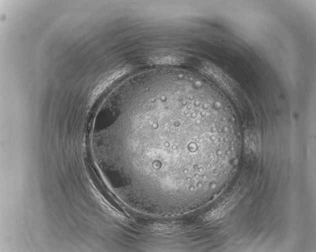 X0000060770725200511141256