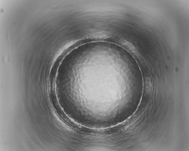 X0000060770726200511141256