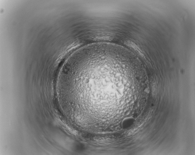 X0000060770729200511141256