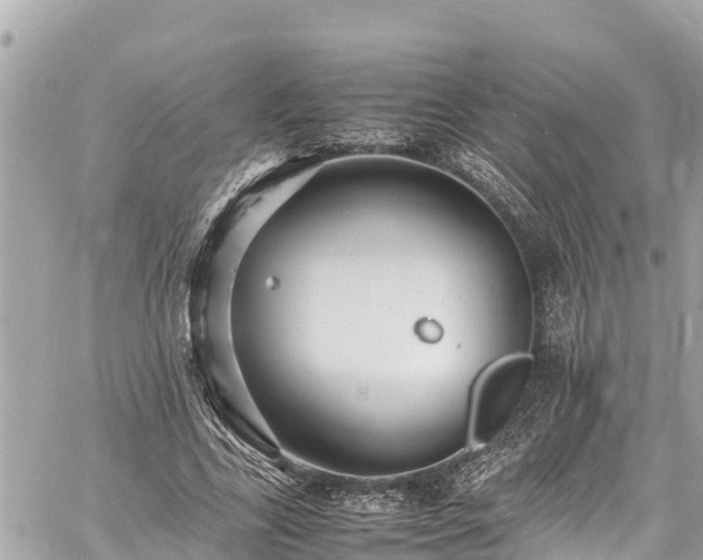 X0000060770731200511141256