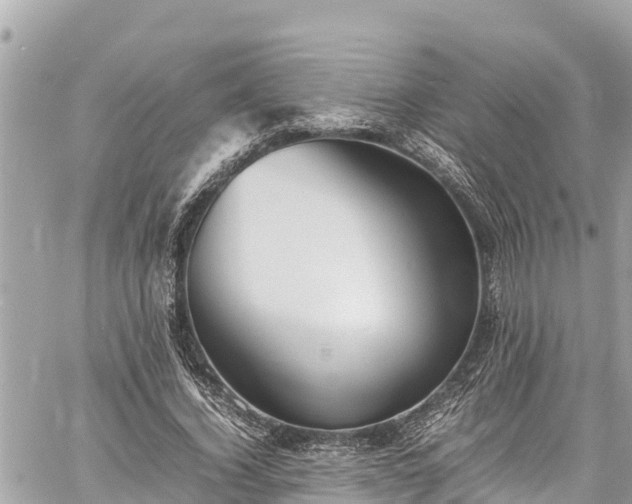 X0000060770732200511141256