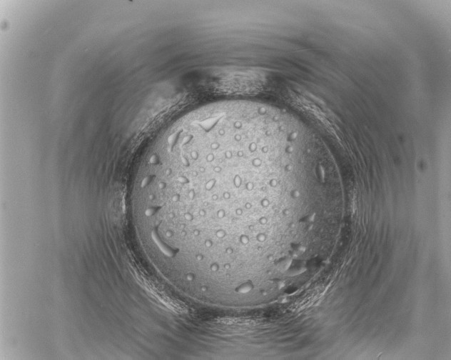 X0000060770733200511141256