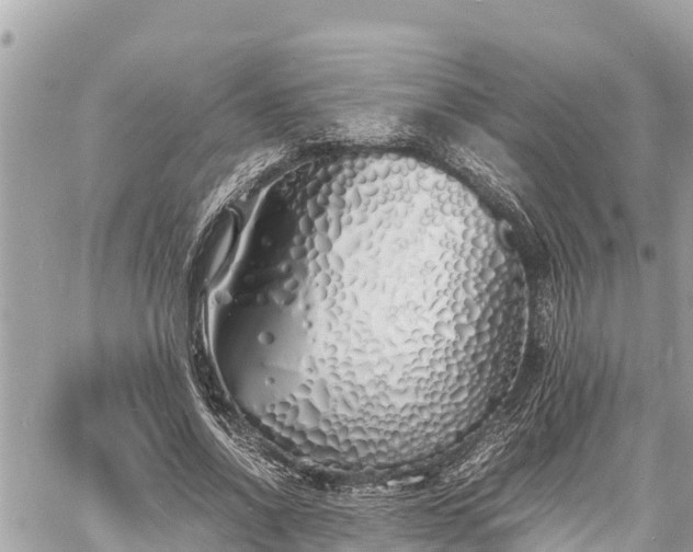 X0000060770734200511141256