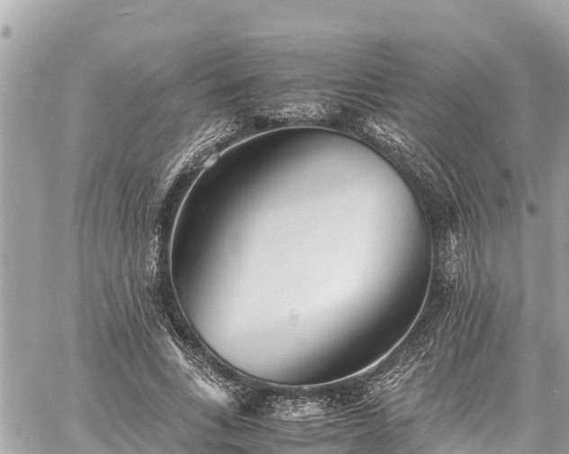 X0000060770735200511141256