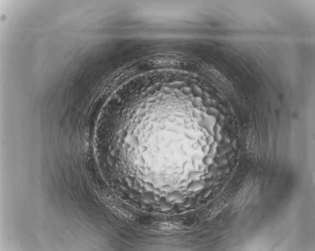 X0000060770737200511141257