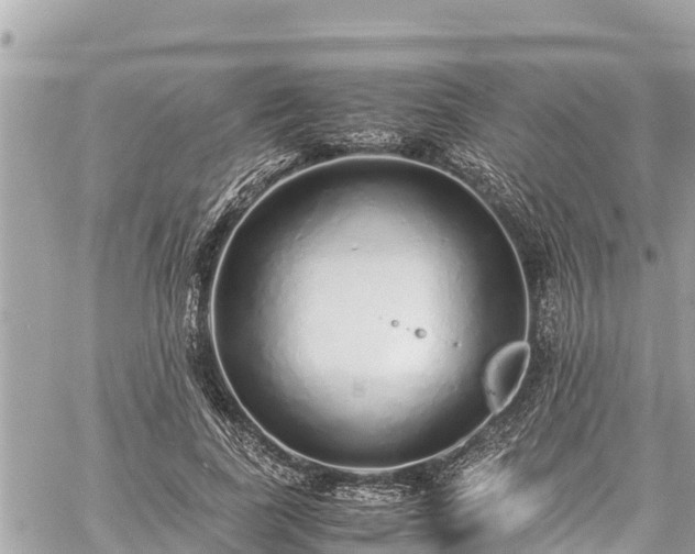 X0000060770739200511141257