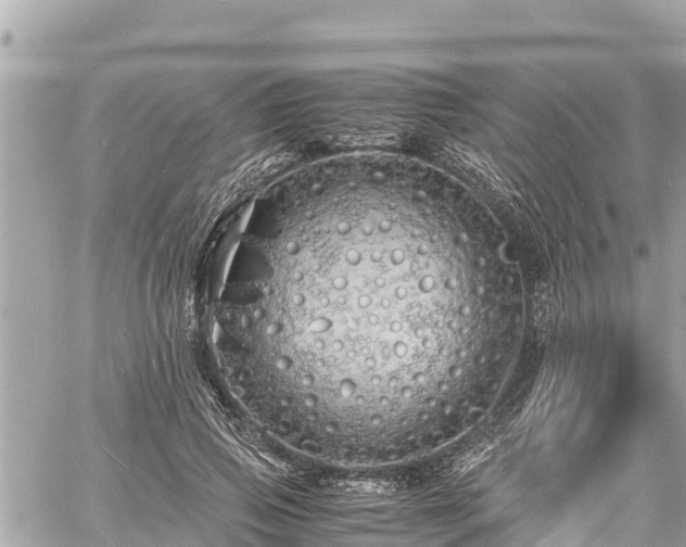 X0000060770741200511141257