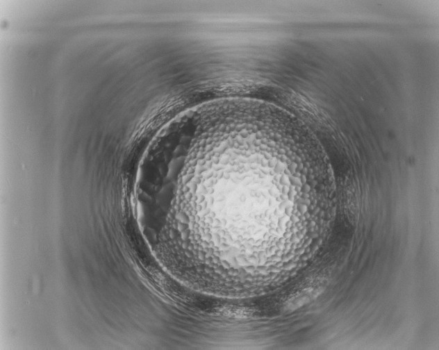 X0000060770742200511141257