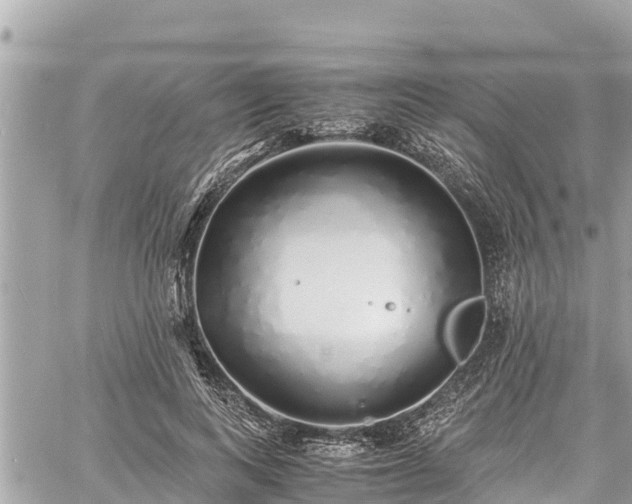 X0000060770743200511141257