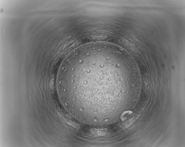 X0000060770745200511141257