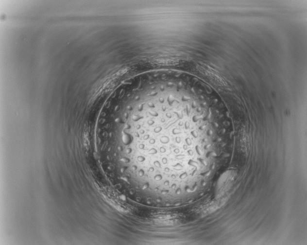 X0000060770746200511141257