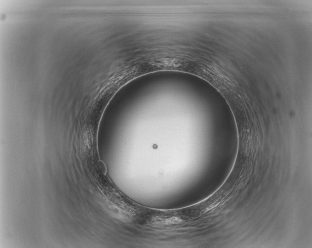 X0000060770747200511141257