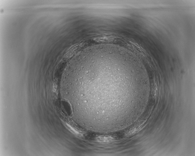 X0000060770749200511141257