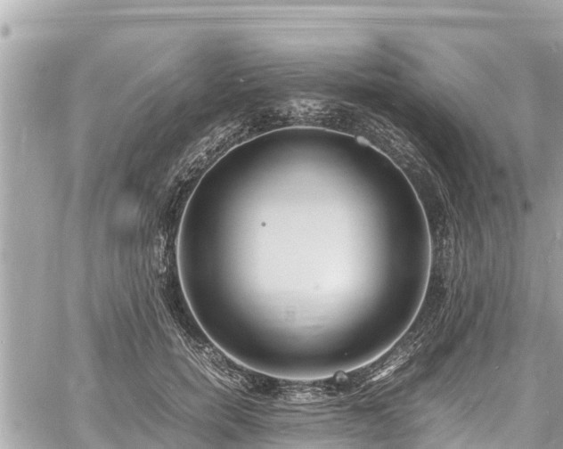 X0000060770750200511141257