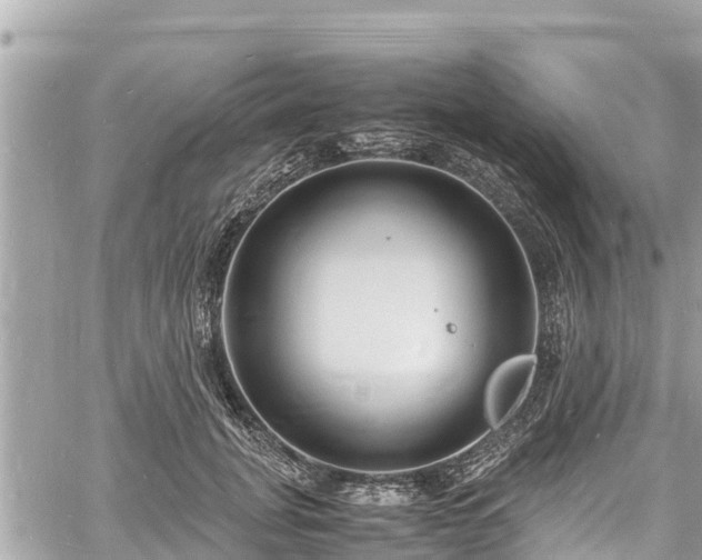 X0000060770751200511141257